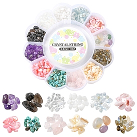 Kit de fabricación de pulseras de piedras preciosas de bricolaje, incluyendo chips de piedras preciosas mixtas naturales y sintéticas y cuentas de concha, hilo elástico