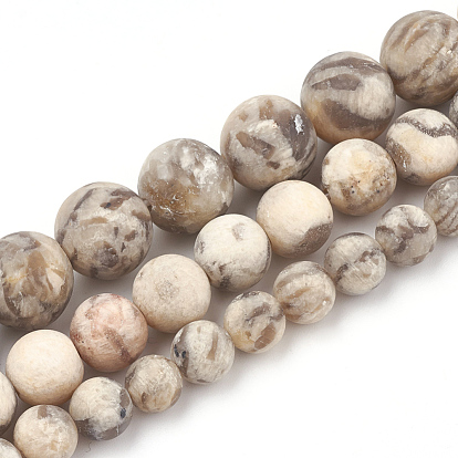 Natural Gemstone Beads Strands, Frosted, Round