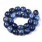 Natural Blue Aventurine Beads Strands, Barrel