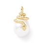Shell Pearl Pendants, with Brass Findings, Cadmium Free & Lead Free, Long-Lasting Plated, Teardrop with Snake Charm