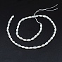 Dyed Natural Shell Beads Strands, Oval