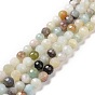 Natural Flower Amazonite Beads Strands, Faceted(128 Facets), Round