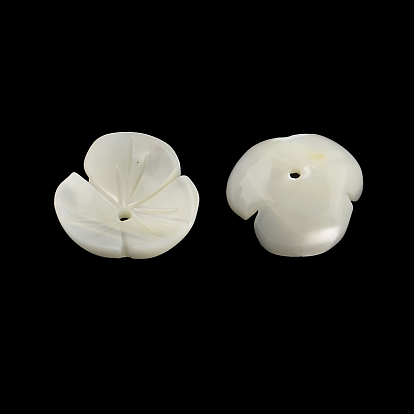 Fleur de coquillage trochid naturel / perles de coquillage trochus