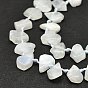 Raw Rough Natural Rainbow Moonstone Beads Strands, Waterdrop-Shaped Nuggets