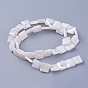 Shell Beads Strands, Square