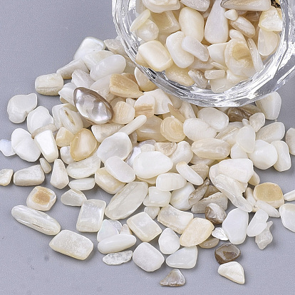 Perles de coquille d'eau douce, perles non percées / sans trou, puce