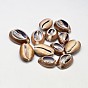 Perles ovales en coquillage cauri naturel, sans trou, 26~35x14~25 mm, environ 130 pcs / 500 g