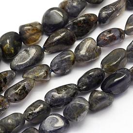 Natural Kyanite Quartz Beads Strands, Nuggets