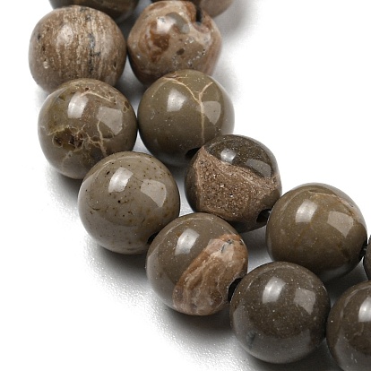 Natural Map Stone/Picasso Stone Beads Strands, Round