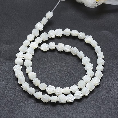 Shell normal de perles blanches de brins, perles en nacre, rose double face