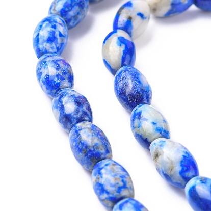 Natural Lapis Lazuli Beads Strands, Drum