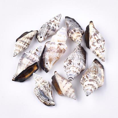 Natural Spiral Shell Beads, 41~50x21~22x16~19mm, Hole: 1mm, about 235pcs/500g