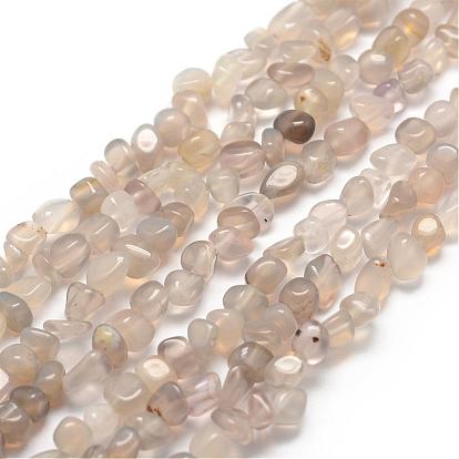 Natural Grey Agate Beads Strands, Nuggets