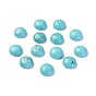 Natural Howlite Cabochons, Dyed, Half Round