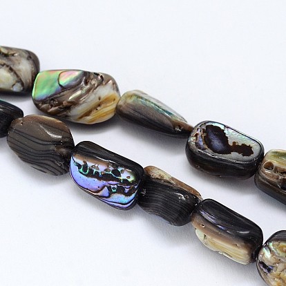 Naturelles Paua brins de perles, nuggets, 10~16x6~9x4~6mm, Trou: 1mm, environ 15.7 pouce