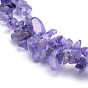 Natural Amethyst Beads Strands, Dyed, Chip