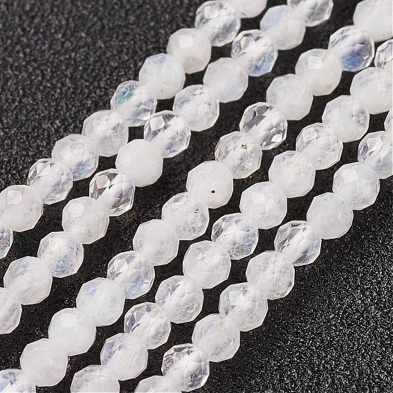 Natural Rainbow Moonstone Bead Strand, Round, Faceted