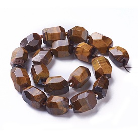 Natural Tiger Eye Beads Strands, Faceted, Polygon