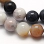 Natural Dendritic Agate Round Beads Strands