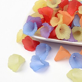 Transparent Acrylic Beads, Frosted, Flower, Dyed