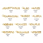 24 pcs 12 pendentifs en laiton doré de style, avec des anneaux de saut, plaqué longue durée, mot avec constellation/signe du zodiaque