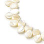Brins de perles de coquille de trochid / trochus shell, feuille