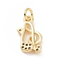 Micro cuivres ouvrent charmes de zircons, avec anneau de saut, charme note de musique