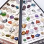 Colecciones de pepitas de piedras preciosas naturales, para la enseñanza de las ciencias de la tierra