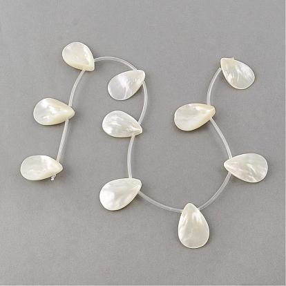 Natural Sea Shell Beads Strands, Top Drilled Beads, Teardrop