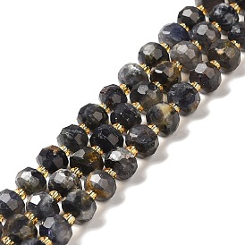 Natural Iolite Beads Strands, with Seed Beads, Faceted Rondelle