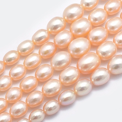 Natural Cultured Freshwater PearlBeads Strands, Graduated