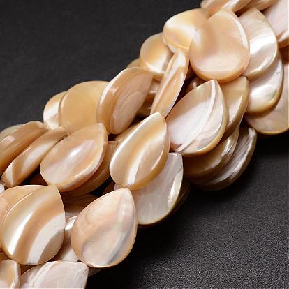 Brins de perles de coquille de trochid / trochus shell, goutte , 17~18x13x4mm, Trou: 1mm, Environ 23 pcs/chapelet, 15.75 pouce