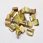 Dyed Natural Freshwater Shell Chip Beads, 8~15x7~8mm, Hole: 1mm, about 750pcs/500g