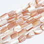 Naturelles coquillage perles brins, rectangle
