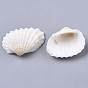 Natural Shell Beads, Undrilled/No Hole Beads
