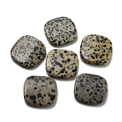 Perles de jaspe dalmatien naturelle, carré plat