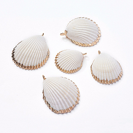 Shell Pendants, with Iron Findinggs, Shell, Light Gold