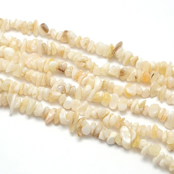 Natural White Shell Beads, Mother of Pearl Shell Beads Strands, Nuggets Chips
