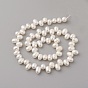 Natural Cultured Freshwater Pearl Beads Strands, Oval