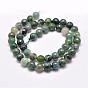 Natural Moss Agate Beads Strands, Round, Faceted