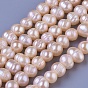 Hilos de perlas de agua dulce cultivadas naturales, rondo, 7~8 mm, agujero: 0.8 mm, sobre 57 unidades / cadena, 14.37 pulgada