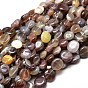 Pépites naturelles agate de botswana perles brins, pierre tombée, 9~12x8~13x5~7mm, Trou: 1mm, environ 15.3 pouces ~15.7 pouces