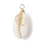 5Pcs Natural Cowrie Shell Copper Wire Wrapped Vortex Pendants, Light Gold, Shell Charms