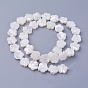 Shell Beads Strands, Flower
