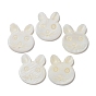 Natural Freshwater Shell Beads, Half Drilled, Rabbit