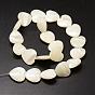 Natural Trochid Shell/Trochus Shell Beads Strands, Heart, 18~19x18~19x4~6mm, Hole: 1mm, about 21pcs/strand, 15.35 inch