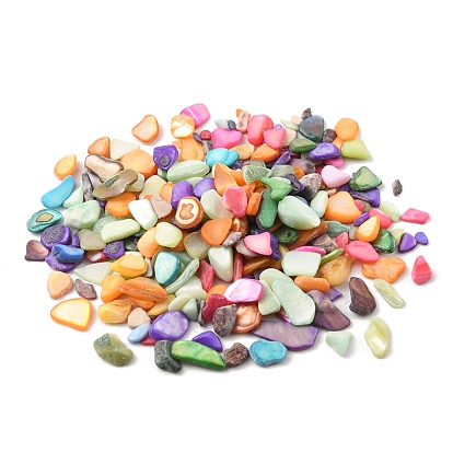 50G Dyed Natural Freshwater Shell Chip Beads, No Hole/Undrilled