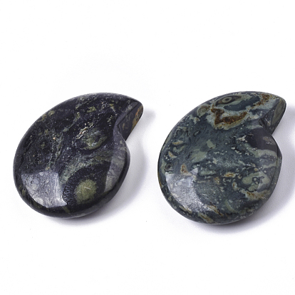 Perles de jaspe kambaba naturelles, pas de trous / non percés, forme de coquille spirale