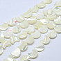 Shell normal de perles blanches de brins, perles en nacre, lune, 12x11x3mm, Trou: 1mm
