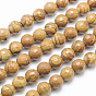 Natural Petrified Wood Beads Strands, Dyed, Faceted, Round